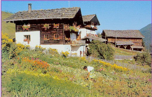 Bild:Oberhof (Hof - Ulten - St. Nikolaus).jpg