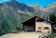 malga di Revò 