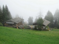 Esser 