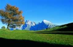 Lang- und Plattkofel 