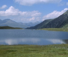 Seefeldsee 