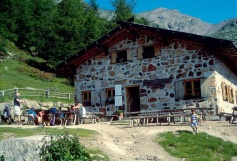 Laugenalm 
