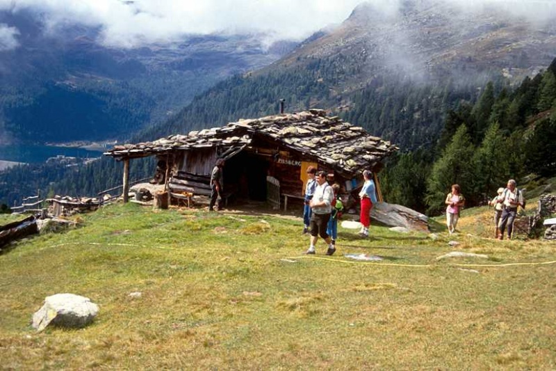 Bild:Außerer Pilsberg (Alm - Ulten).jpg