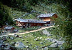 Kirchberg 