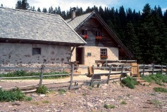 malga di Lauregno 