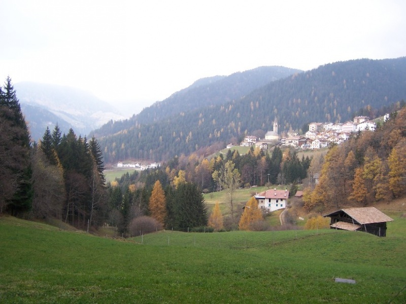 Bild:Bucher Wiese (Wiese - Laurein).jpg