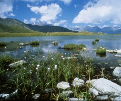 Alplahnersee 