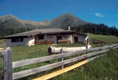 Malga di Cloz 