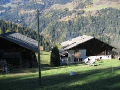 Silberhof 