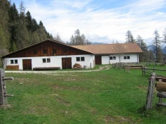 Malga Fraul 