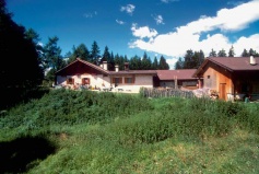 Felixer Alm 