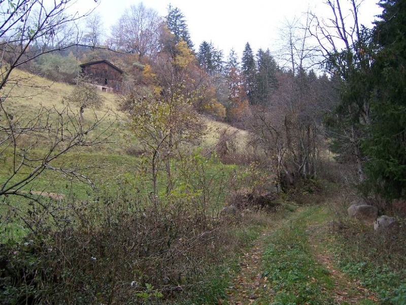 Bild:Hüttenweg (Weg - Laurein).jpg