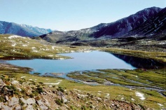 Langsee 